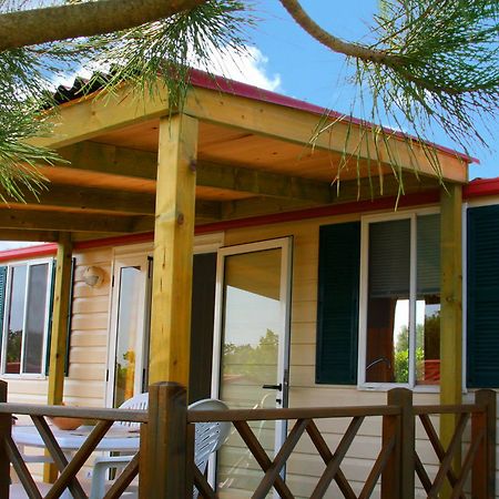 Camp Dole Zivogosce Hotel Podgora Ngoại thất bức ảnh